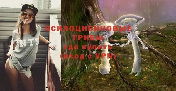 прущие крисы Арсеньев