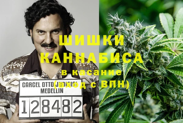 гашик Балахна